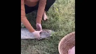 She Fishes to Eat &ndash; No Markets, Just Nature! 🎣🔥 #SurvivalLife #NomadicCooking