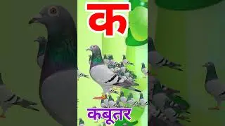 Ka se kabutar, #kidssong #kasekabutar #nurseryrhymes #असेअनार #smalltv #chunchuntv
