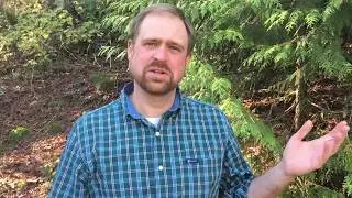 Improving your Recreational Land...where to start?