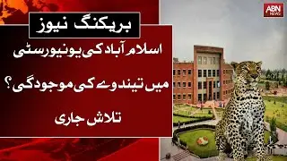The presence of a leopard was reported in the University of Islamabad || Ausaf Digital