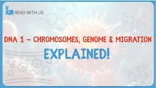 6.1 - DNA 1 - Chromosomes, Genome & Migration#59 Bio
