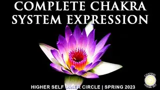 Remove Your Resistance to Success | Week 11: Complete Chakra System Expression