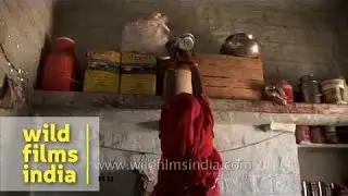 Bishnois - a community of nature worshippers
