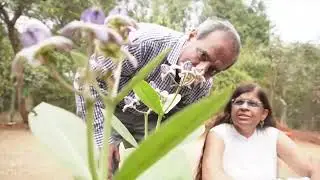 June workshop announcement video | Flower Power | Healin Temple | Indian Flower Remedies