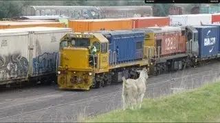 New Zealand Trains: Westfield Yard Goat, 09Apr14