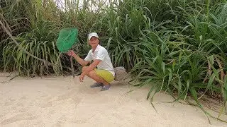 阿文搞来岳父几十年的&ldquo;传家宝&rdquo;，连抓好几窝大货，果然名不虚传