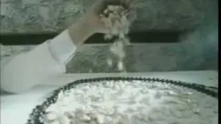 Peter Gabriel -  Shock the Monkey.avi