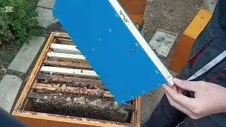 Kontrola oddělků + l&eacute;čen&iacute; K&Scaron;