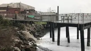 Stormwater washes off Morro Bay's Embarcadero and into the estuary. October 3, 2018.
