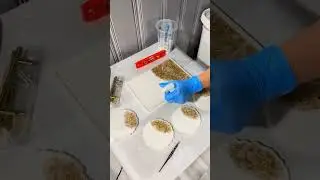 Emprende con el curso de accesorios en Resina, te dejo toda la informaci&oacute;n en el enlace de mi perfil