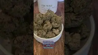 White Runtz - Craft Botanics T28 WRZ Medical Cannabis UK Montu Alternaleaf