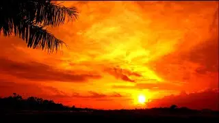 Copyright free video | No Copyright video footage | cinematic video footage | Free commercial video