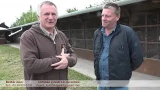 Barabás János Galambász