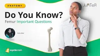 Femur important Questions | Bone Anatomy Medical Student Lecture | V-Learning&trade;