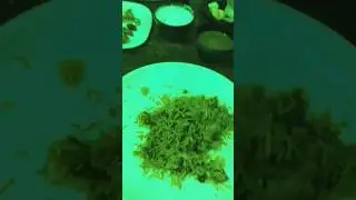 Worst Food Experience💯🙆🏻&zwj;♂️🍱#viralvideo#worstfood#trending#viral