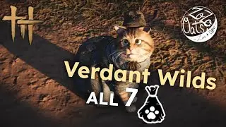 WHERE WINDS MEET: Verdant Wilds: ALL 7 Meow Meows