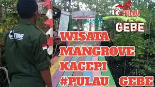 Pulau Gebe (wisata mangrove kacepi )....