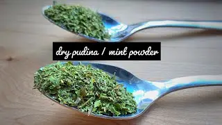 How to make dried mint | dry mint leaves in microwave | pudina powder at home