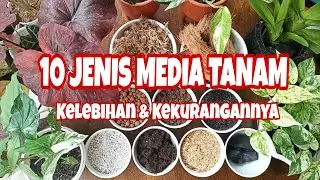 10 JENIS MEDIA TANAM