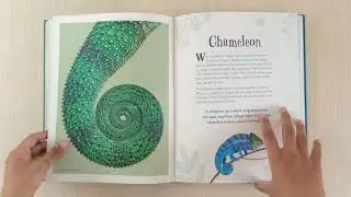 DK An Anthology of Intriguing Animals