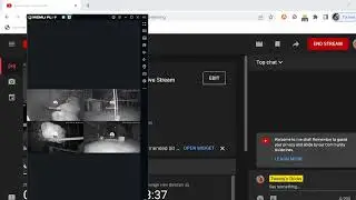 Tweedy&rsquo;s Chicks  Live Stream