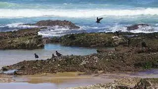 Wilderness - Garden Route