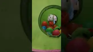 Bob in the ball pit #rat #petrats