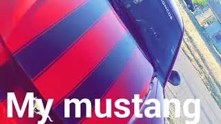 Sn95 mustang build from the start till this day