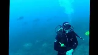 National Marine Park of Greece - Amberjacks as well hunt sardines!!!