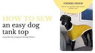 Quick & Easy Dog Tank Top - Lily Longnose Sewing Tutorial