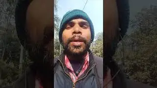 shorted vlogs reels video shirtes# story videos reels# videos reels shirtes#