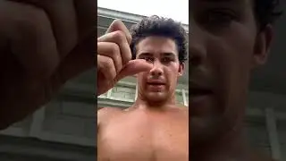 Парик для ушей или уховертка?