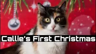 CALLIE’s FIRST CHRISTMAS & WEEKEND