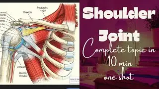 ✨Shoulder Joint✨ Complete topic one shot exam notes#shoulderjoint #anatomy #medstudent #mbbs 