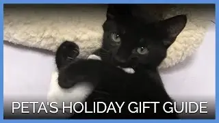 PETA's Holiday Gift Guide: Companion Animal&ndash;Approved!
