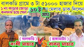 ৩ টা ৫১ হাজার দিয়ে মেলার ডাক দিলেন !! বালকডি বংশী মাহাত vs বাবলু মাহাত রাঙ্গামাট্যা জোড়া কনফার্ম 
