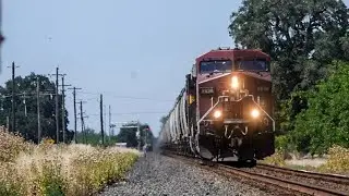 CP 9838 leads UP GMETGH @ Yuba City, CA | 5/26/24