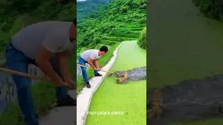 the quiet art of catching life beneath still water 🎣 #nature  #wow #satisfying