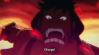 Party After Victory with Wano Samurai | Luffy |One Piece