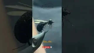 Easy to tie Foam Ant Fly Tying Tutorial Short | Easy Fly Tying Black Ant