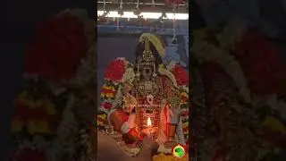 திருவரங்கம் ஸ்ரீ நம்பெருமாள்  நாச்சியார் திருக்கோலம் #shorts #srirangam #namperumal