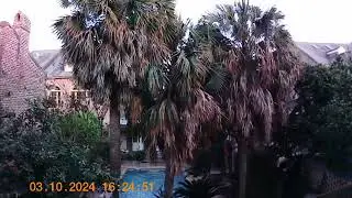 Best Western French Quarter New Orleans March 2024