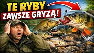 NIGDY NIE WRÓCISZ Z PUSTYMI RĘKAMI! 7 pewniaków, które biorą ZAWSZE I U KAŻDEGO.
