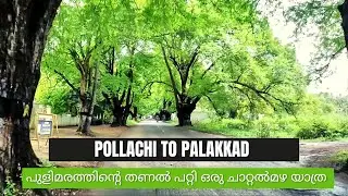 pollachi palakkad road trip | smokie tank | പുളി മരങ്ങൾക്കിടയിലൂടെ മഴയത്ത് ഒരു യാത്ര