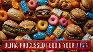 Is Junk Food Controlling Your Brain?