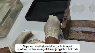 PIT tagging (AQU 3303) (Genetik dan pemulihan stok)