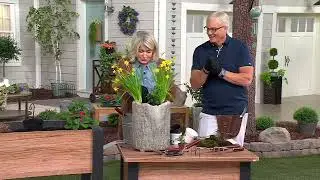 Martha Stewart 4-Piece Trowel and Cultivator Planting Set on QVC
