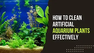 How to Clean Artificial Aquarium Plants Effectively
