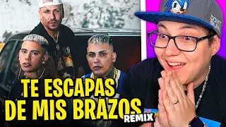 BOFFE REACCIONA a ECKO, CALLEJERO FINO, EL PERRO: 