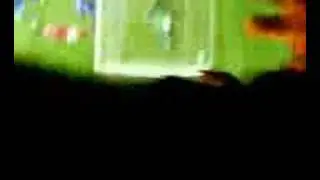 leicester city vs nottingham forest freekick goal!!!